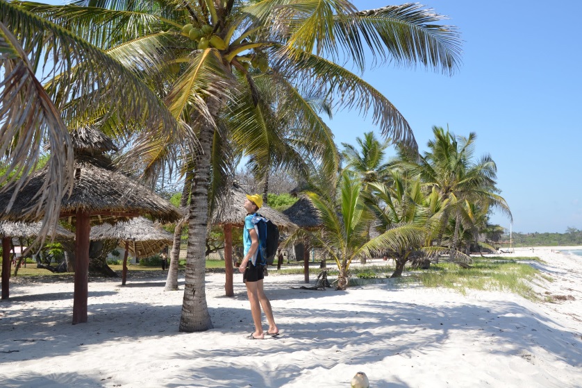 Palmy plaża Kenia