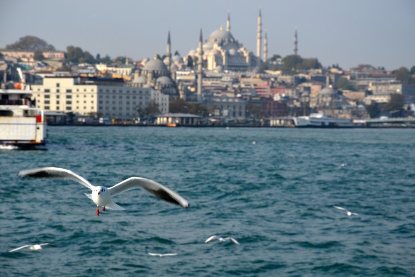 Rejs do Kadikoy - widok na Meczet Sulejmana Turcja