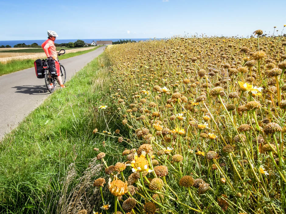 Bornholm rowerem Żyć z pasją